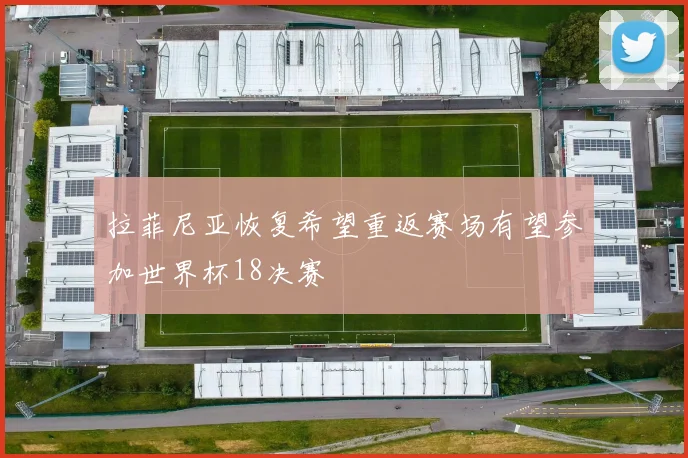 拉菲尼亚恢复希望重返赛场有望参加世界杯18决赛
