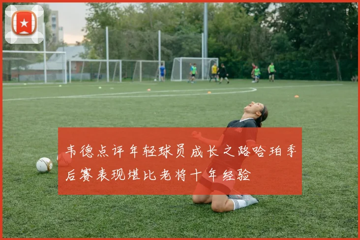 韦德点评年轻球员成长之路哈珀季后赛表现堪比老将十年经验